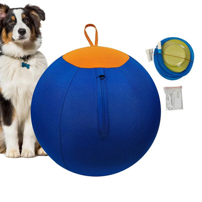Large Dog Ball Interactive Moving Toys Pet Supplies Herding Ball for Dogs Breed for Puppy Small Medium Large Breed Keep Busy